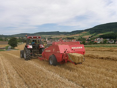 stroh02