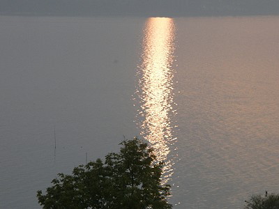 bir04