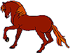 Pferd