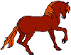 Pferd