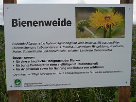 bie03