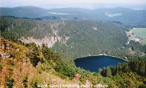 Blick vom Feldberg zum Feldsee