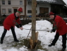 baum01