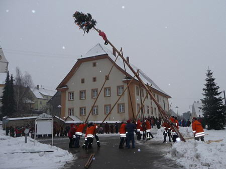 baum10