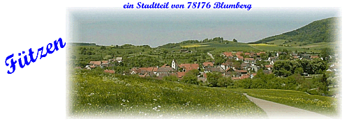 stadtt3